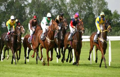 11 şehre yarış atları için at hastaneleri kurulacak!