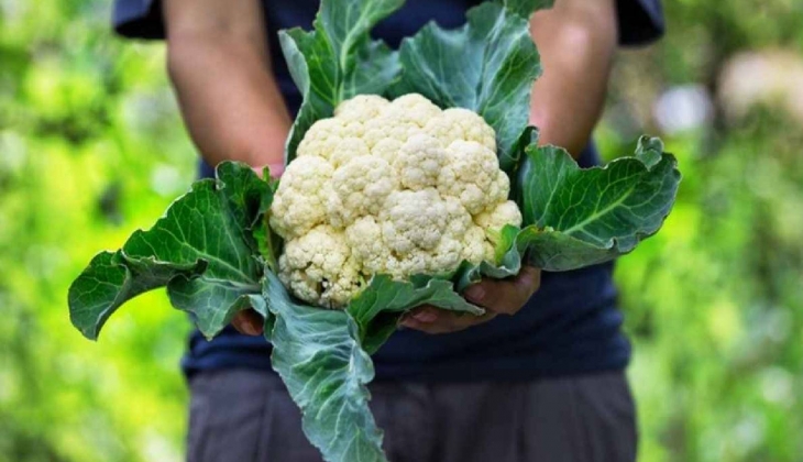 İTO açıkladı! İstanbul da şubat ayı zam şampiyonu belli oldu...