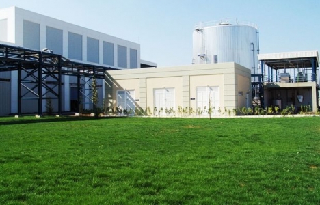 İzmir'deki rakı fabrikası 42.5 milyon TL'ye satışta!