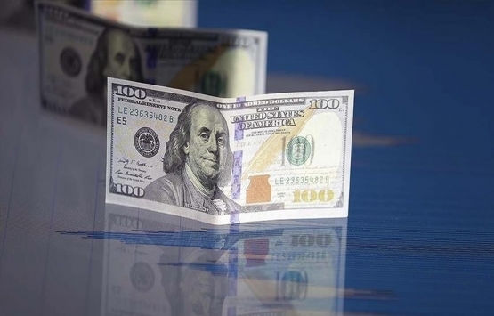 Dolar/TL 10.56 TL'ye seviyesine geldi!