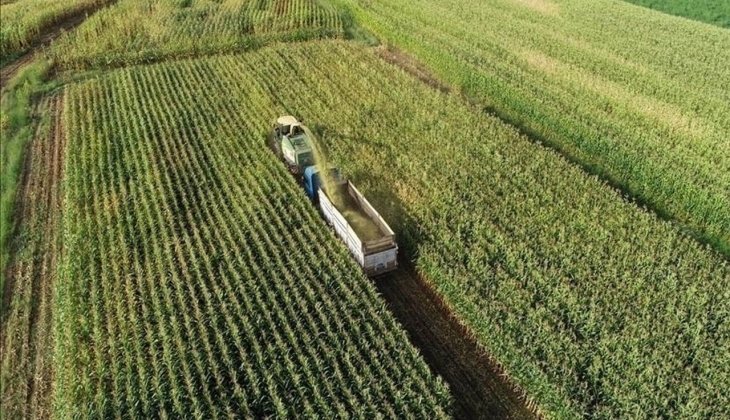 Çiftçilere son dakika müjdesi! Bugün hesaplara tam 75,8 milyon TL yatıyor! Kalem kalem belli oldu!