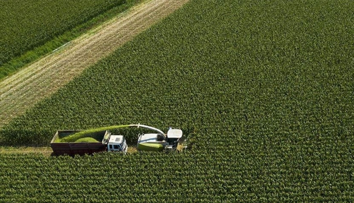 Mısır fiyatlarında şok! Mısır fiyatları hangi borsada kaç lira? 29 Ekim 2022 fiyat listesi...