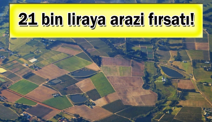 Milli Emlak o ilde 21 bin TL'ye arazi satacak! Bu tarihi aman kaçırmayın!