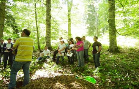 Amenajman planlama ilkeleri!