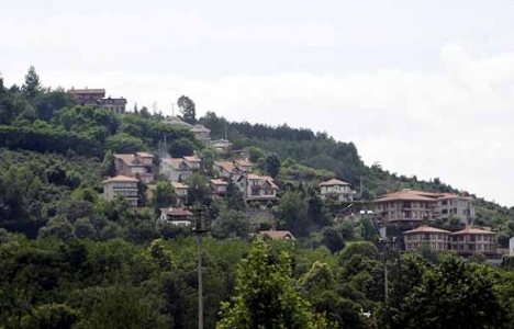 Sapanca ormanlarındaki inşaat iznini kim verdi?