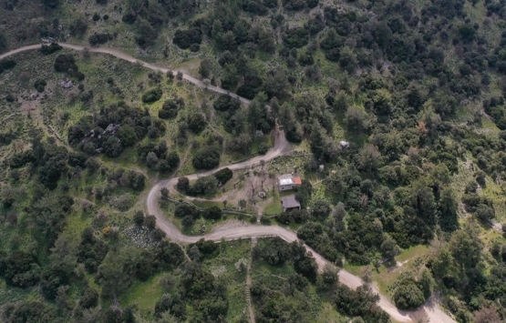 Bodrum da Pedasa Antik Kenti ndeki 170 dönümlük arazi 35 milyona satılıyor!