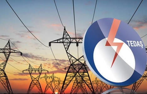 TEDAŞ'ta sıfır satış rekor zarar!