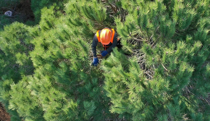 OGM 5 bin personel alımı ne zaman? OGM işçi alım şartları nedir?