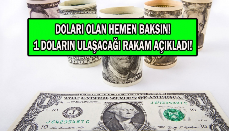 Dolar o tarihte tam bu kadar olacak! Rakamlar peş peşe açıklandı! 1 doları bile olan resmen buz kesti! 