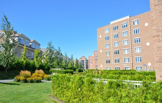 Sitelerde ortak alan işgaline dava açılır mı?