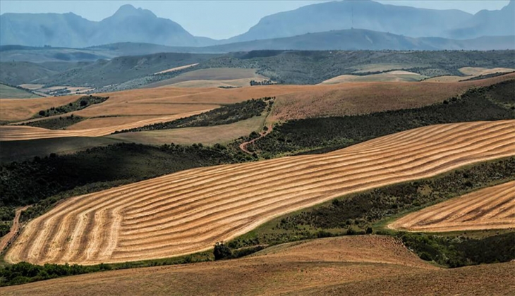Hazine arazisine ev hayali kuranlar dikkat! Milyonlar için son dakika açıklaması! Yeni model hangi illerde uygulanacak?