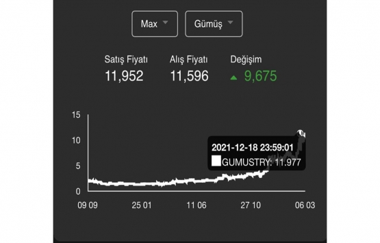 Ne altın, ne dolar... Gümüş, yatırımcısına kazandırdı!