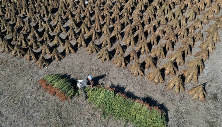 Çiftçiler dikkat! Mazot gübre desteği il il resmen ödendi! Hemen hesaplarınızı kontrol edin! Tam bu kadar yattı!