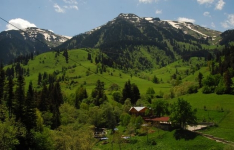 Ardahan Yalnızçam Dağı'na kayak tesisi yapılacak!