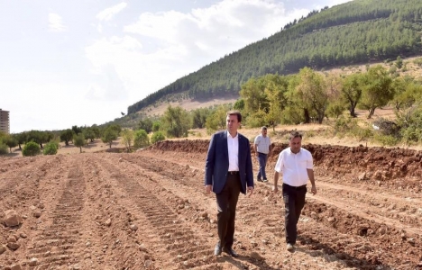 Kahramanmaraş'ın yeni bulvarında son durum!