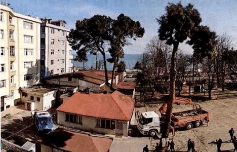 Ordu Yelken Kulüp arazisinin davası reddedildi!