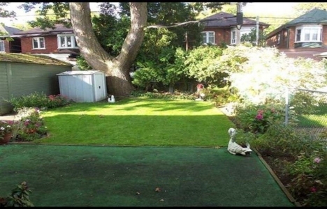 Bu evin dekorasyonu 72 yıldır aynı!