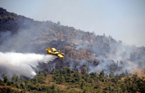 Antalya'da orman yangını çıktı!