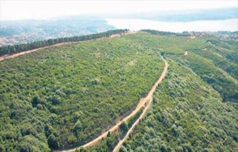 Boğaz'daki 2B arazileri dönüşüm için üç yıldır bekliyor!