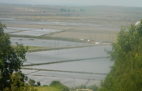 Hamzadere Barajı’nın 350 hektar alanı sulu tarıma açılacak!