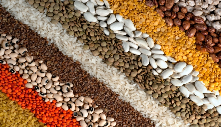 Akdeniz den 9 ayda rekor hububat ve bakliyat ihracatı