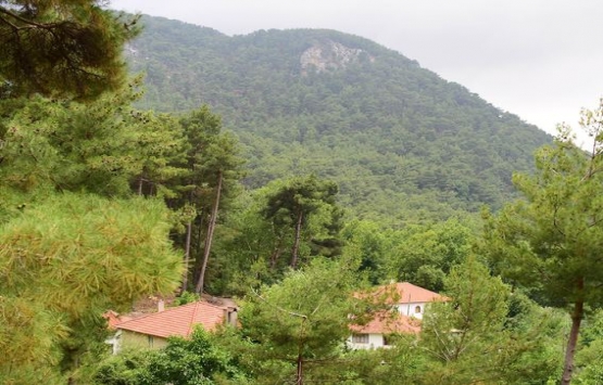 Özgü Namal Köyceğiz den 1.4 milyona arsa aldı!