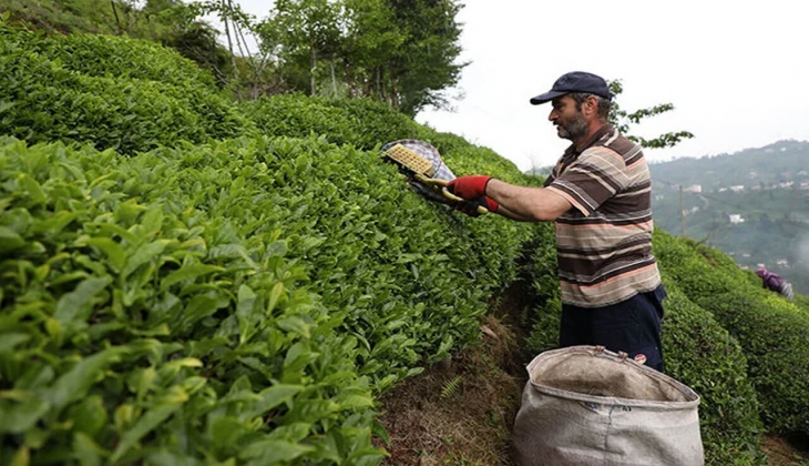 Deprem bölgesinde inşa edilecek Çay Sokağı Konutları na çay üreticilerinden destek!