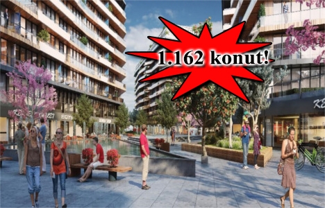 Lens İstanbul ön talep topluyor! 