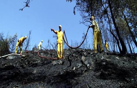 Alanya'da orman yangını çıktı!