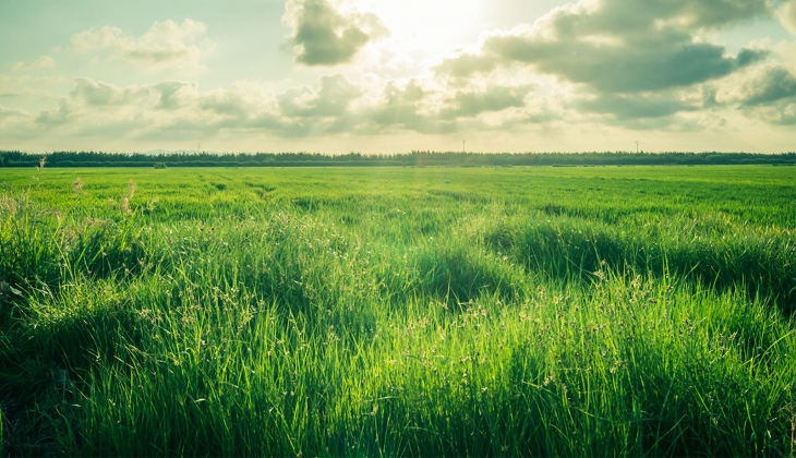Milli Emlak’tan Çanakkale ve Samsun’da satılık araziler!