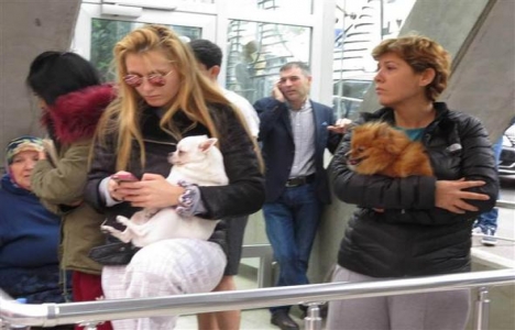 Varyap Meridian da yangın çıktı!