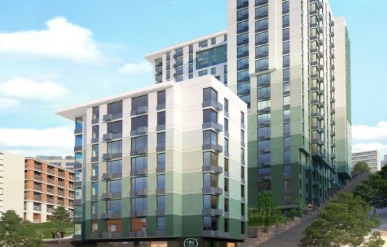 Mint Levent Olive projesi geliyor! Yeni proje!