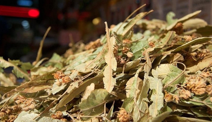 Ihlamurun kilosu kaç TL? Ihlamur fiyatı ne kadar?