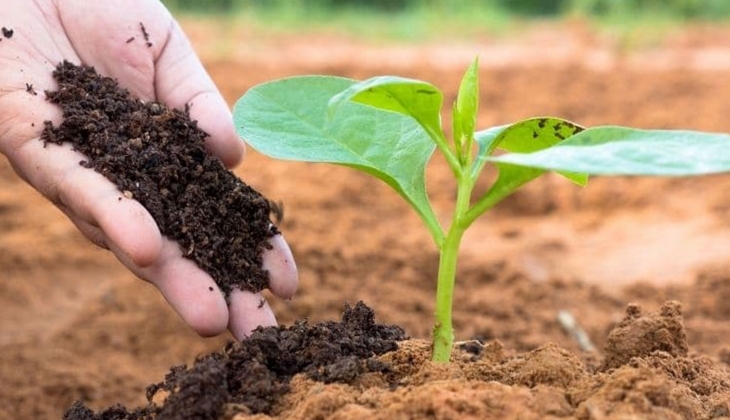 Çiftçilere tohum ve gübre desteği!