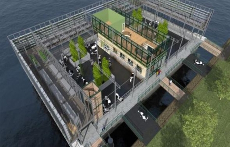 Rotterdam'da inşa edilecek Floating Farm dünyada ilk olacak!