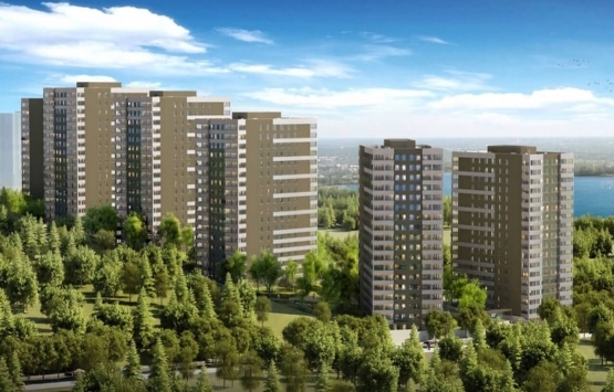 Kaşmir Yonca satılık!