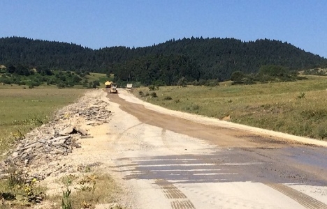 Sarı alan arazi nedir?