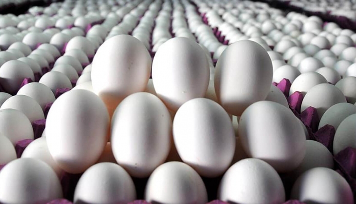 Migros ta yumurta çeşitlerinde yüzde 20 indirim fırsatı! Fiyatı gören üçer beşer alıyor! İşte 20 Ocak 2023 fiyat listesi