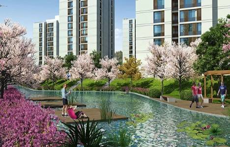 Resim İstanbul da 241 bin liradan başlayan fiyatlar!