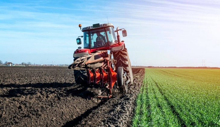 Çiftçilere son dakika müjdesi! İBB den tohum ve fide desteği başladı!