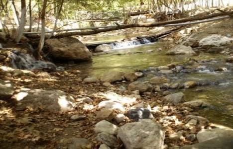 Rize'de şiddetli yağış sebebiyle ev ve işyerlerini su bastı!