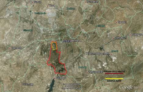 ODTÜ arazisine yol olarak ayrıldığı için 1980'den beri ağaç dikilmedi!