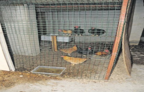 Boğazdaki servet değerindeki villa kümes oldu!