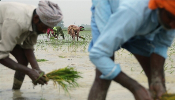 IMF'den uyarı! Gıda krizinin finansal maliyetleri arttı!