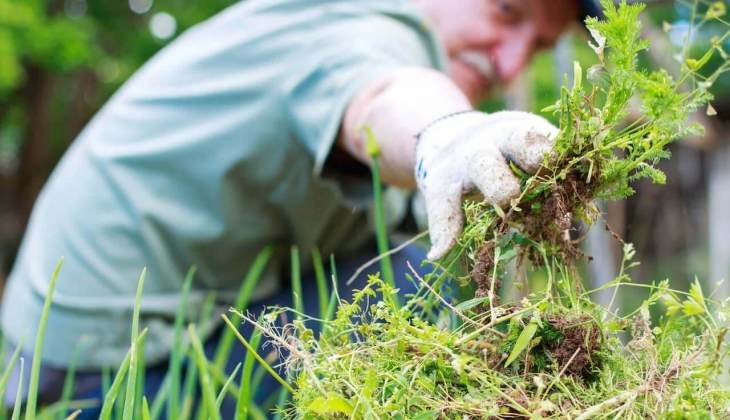 Kuraklık çiftçiyi fena vurdu! Gübre fiyatları isyan ettirdi