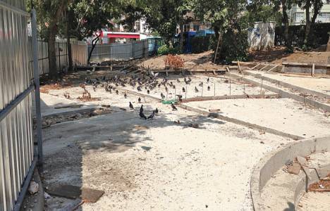 Türkiye Gazetesi, Üsküdar'daki çeşmelerin onarımı için çağrı yaptı!