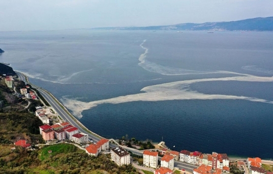 İzmit te kira fiyatları için çağrı!