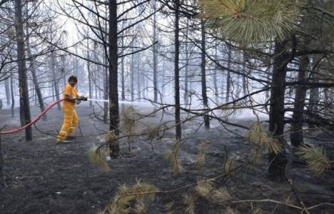 ODTÜ ormanında yangın çıktı!