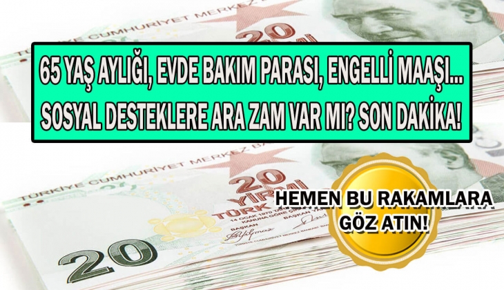65 yaş aylığı, engelli aylığı, evde bakım maaşı alan hemen baksın! Peş peşe açıklanan rakamları gören resmen buz kesti! 