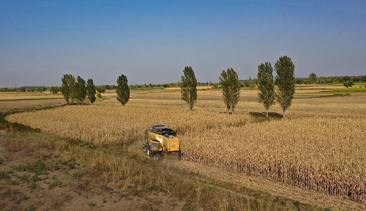 Çiftçiler dikkat! Kuraklık kapıda! Peş peşe duyurulan buğday, arpa, mısır fiyatları şok etti! 23 Ocak 2023 fiyat listesi